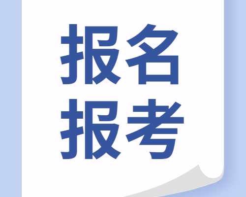 报名报考