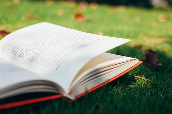 自学考试可以同时报不同专业吗